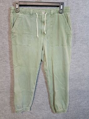 American Eagle Outfitters Light Sage Green Drawstring Jogger Pants